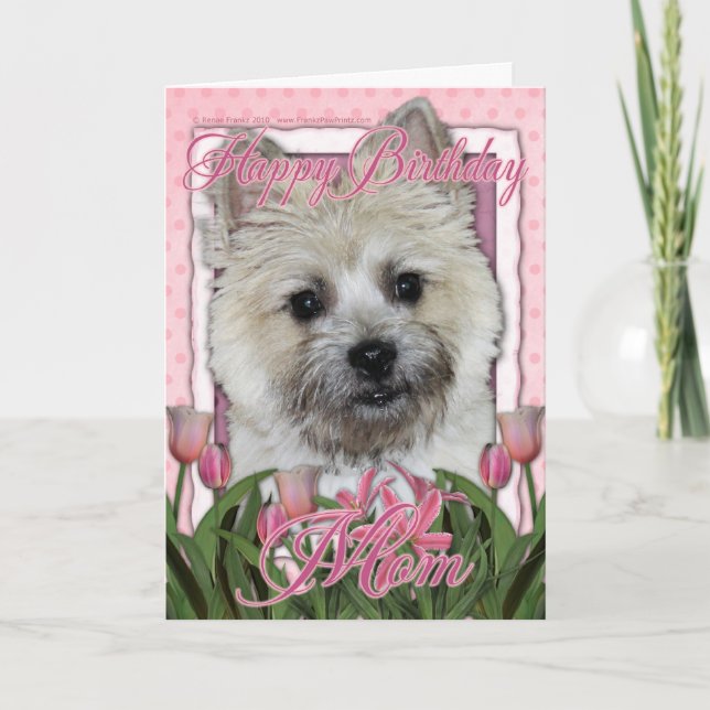 Happy Birthday Mom - Cairn Terrier - Teddy Bear Card (Front)