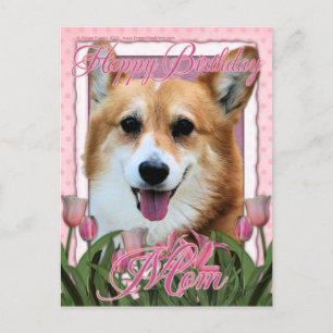 Happy Birthday Mom - Corgi - Owen Postcard