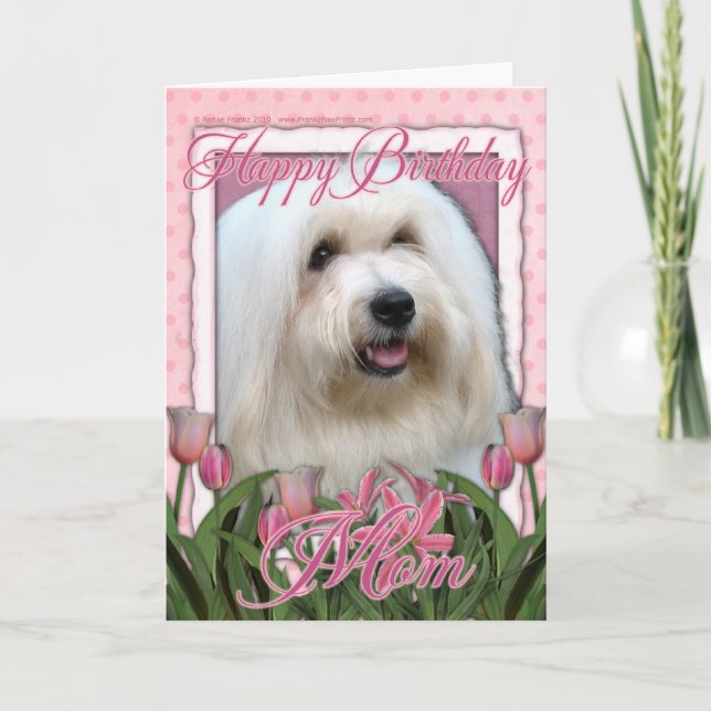 Happy Birthday Mom - Coton de Tulear Card (Front)