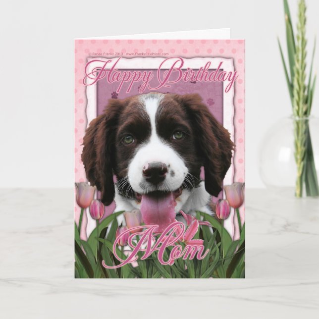 Happy Birthday Mom - English Springer Spaniel Card (Front)