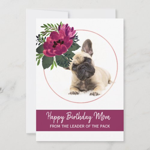 Happy Birthday Mom French Bulldog Photo Greeting Holiday Card