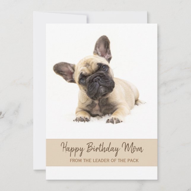 Happy Birthday Mom French Bulldog Photo Holiday Card (Front)