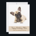 Happy Birthday Mom French Bulldog Photo Holiday Card<br><div class="desc">Cute French bulldog puppy happy birthday mom card from the leader of the pack,  and of course,  that includes you! Personalize with your own dog photo if you prefer,  and also your own custom tagline if desired.

Photo compliments of Ilona Krijgsman</div>