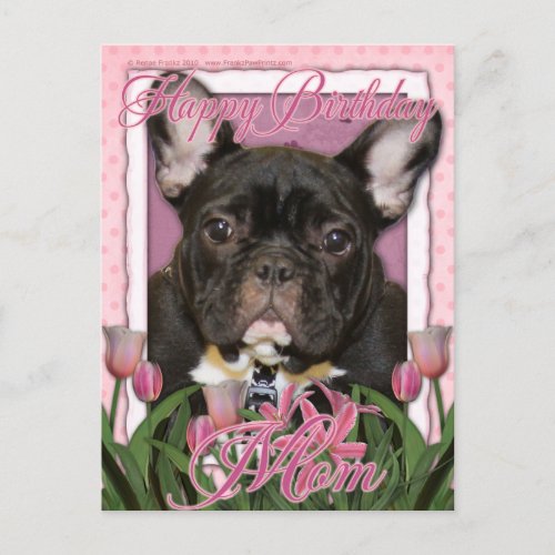 Happy Birthday Mom _ French Bulldog _ Teal Postcard