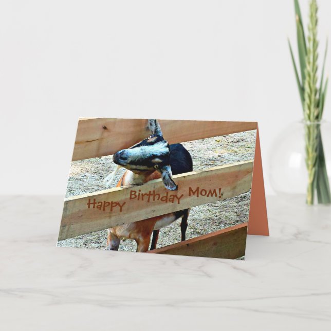 Happy Birthday Mom From Favorite Kid (with Goat) Card (Front)
