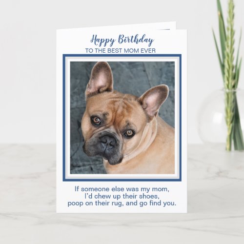 Happy Birthday Mom Funny Dog Worlds Best Dog Mom Card