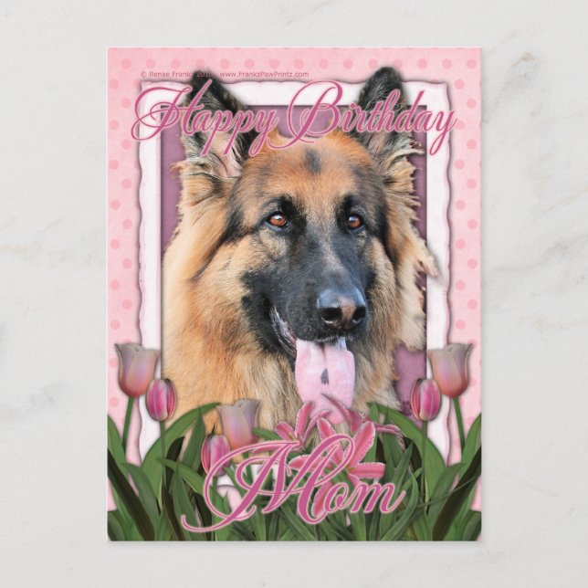 Happy Birthday Mom - German Shepherd - Chance Postcard (Front)