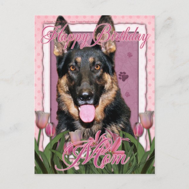 Happy Birthday Mom - German Shepherd - Kuno Postcard (Front)