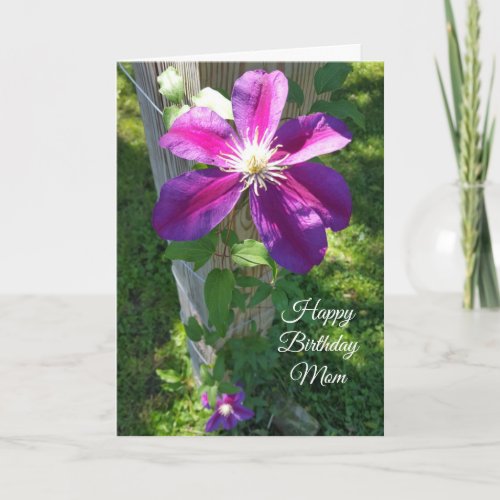 Happy Birthday Mom Pretty Purple Flower Clematis