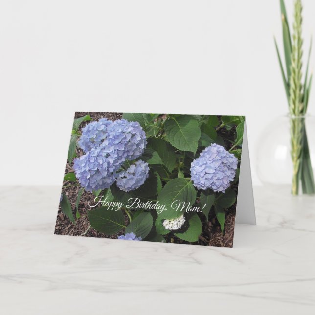 Happy Birthday Mom, Pretty Purple Hibiscus Card (Front)