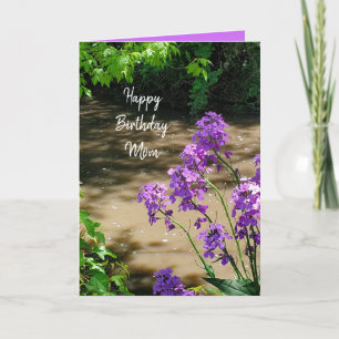 Happy Birthday Mom Purple Flowers and Stream Holiday Card