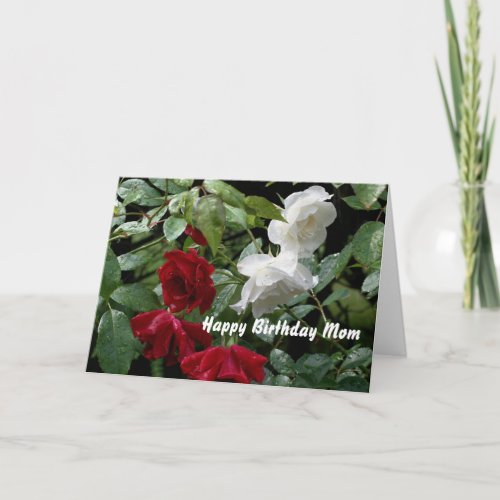 Happy Birthday Mom Red Roses Flower Photo Card