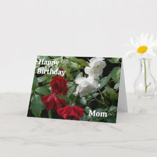Happy Birthday Mom Red Roses Flowers Card