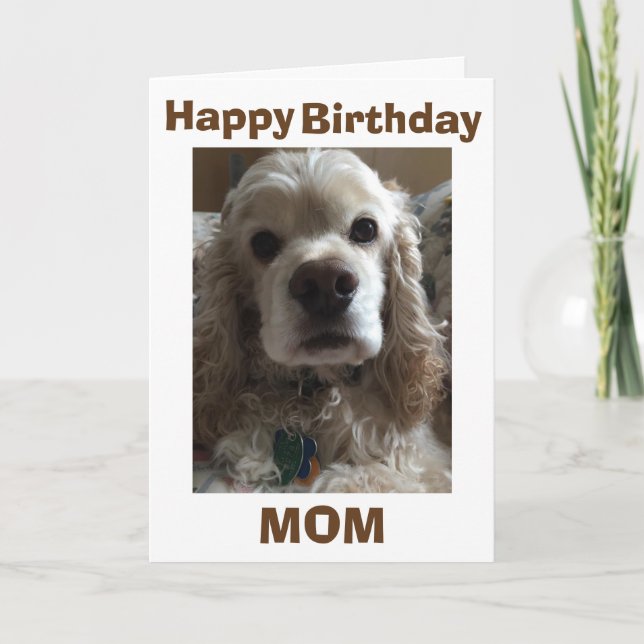 HAPPY BIRTHDAY MOM SAYS THIS CUTE COCKER SPANIEL CARD (Front)