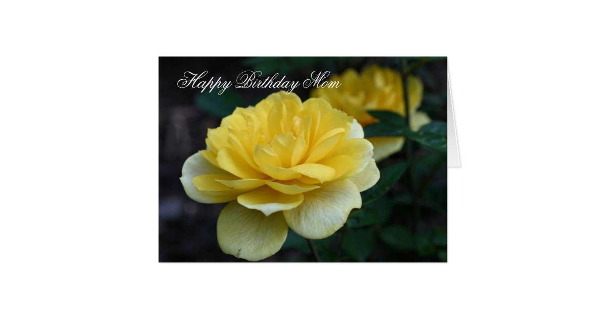 Happy Birthday Mom Yellow Rose Flower Photo Card