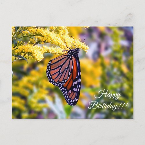 Happy Birthday Monarch Butterfly Postcard