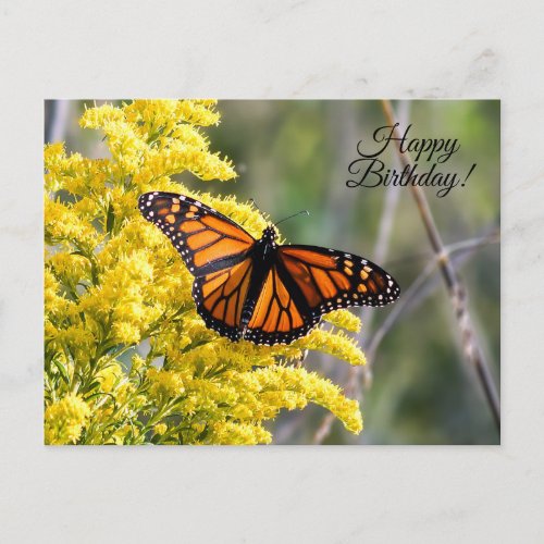 Happy Birthday Monarch Butterfly Postcard