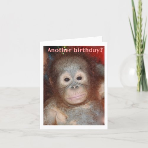 Happy Birthday Monkey Around Card