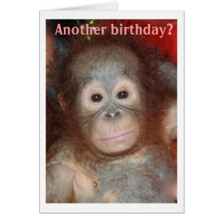 Orangutan Birthday Cards | Zazzle