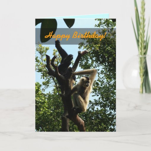 Happy Birthday, monkey on a tree Card | Zazzle