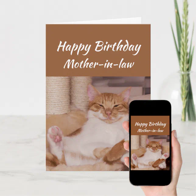 happy birthday mom funny cat