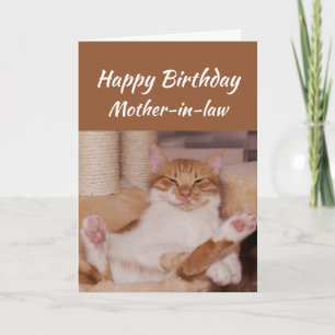 Happy Birthday Mother-in-law Celebrate Funny Cat Card