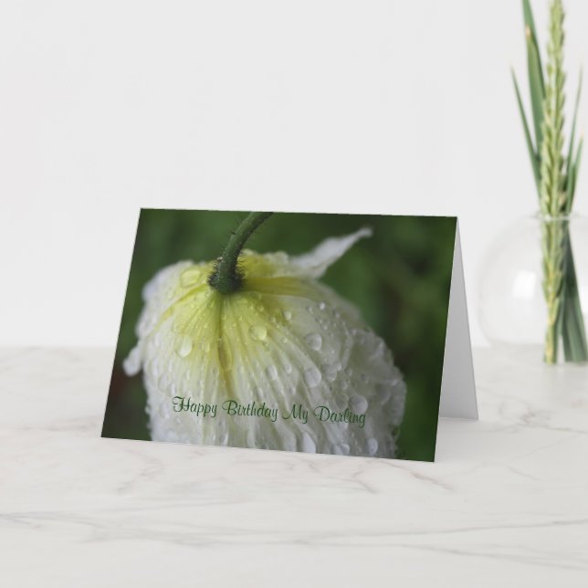 Happy Birthday My Darling White Poppy Card (Front)