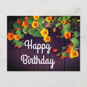 Happy Birthday Nasturtium Postcard