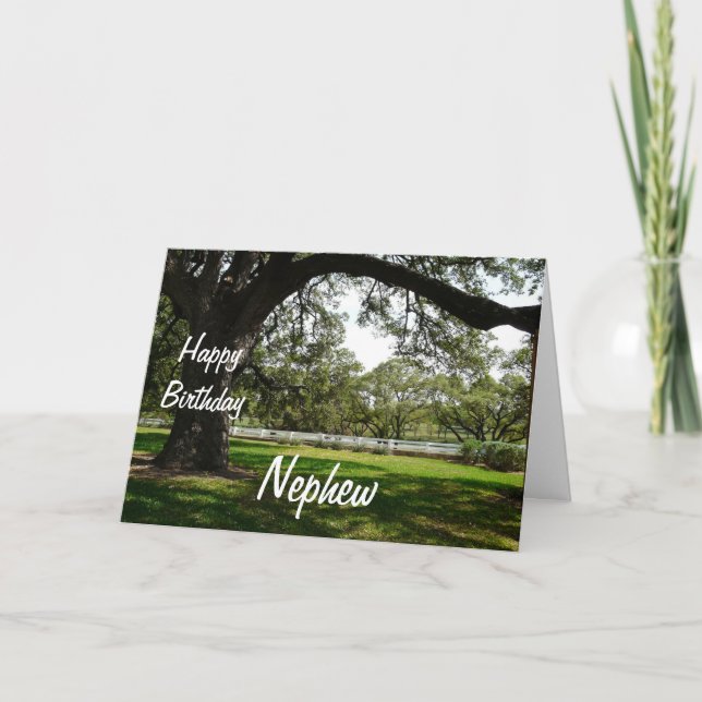 Happy Birthday Nephew-Old Tree in Garden Card (Front)