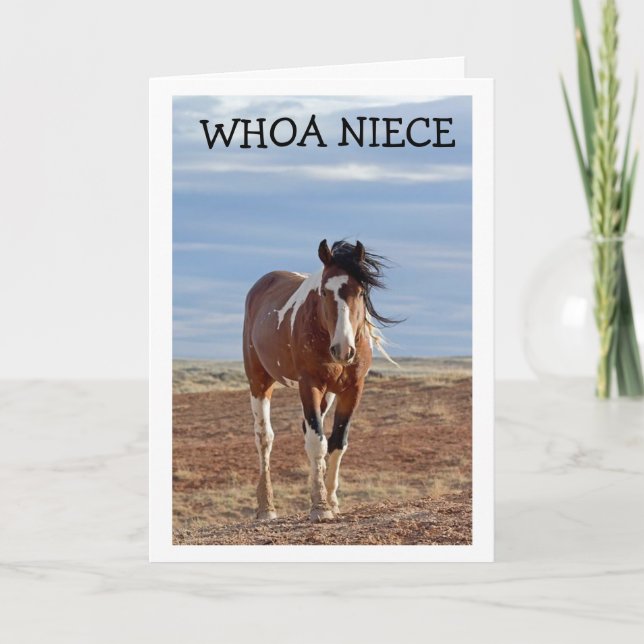 HAPPY BIRTHDAY "NIECE" CARD (Front)