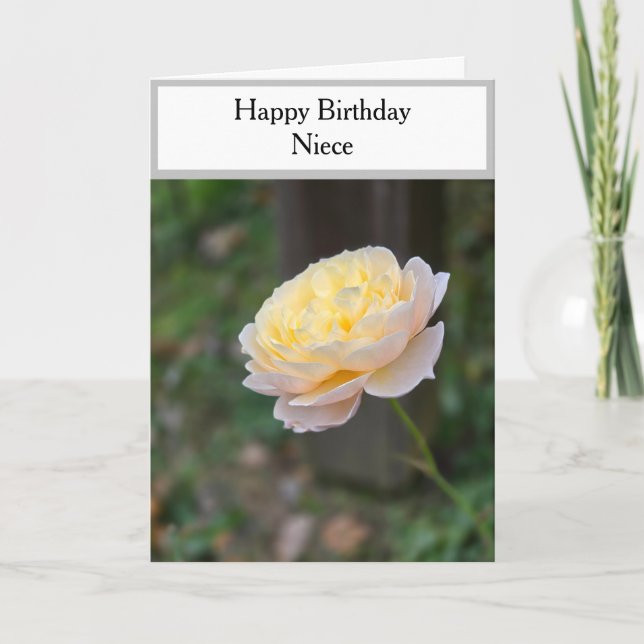 Happy Birthday  Niece Pastel Yellow Roses Card (Front)