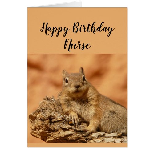 Happy Birthday Nurse Funny Squirrel Relax