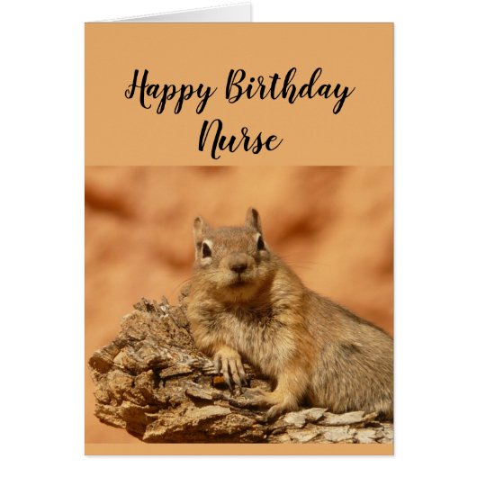 Happy Birthday Nurse Funny Squirrel Relax Cards (Front)
