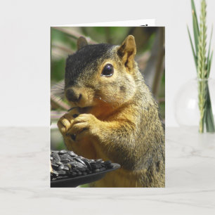 Happy Birthday Nutty Friend Funny Squirrel Card