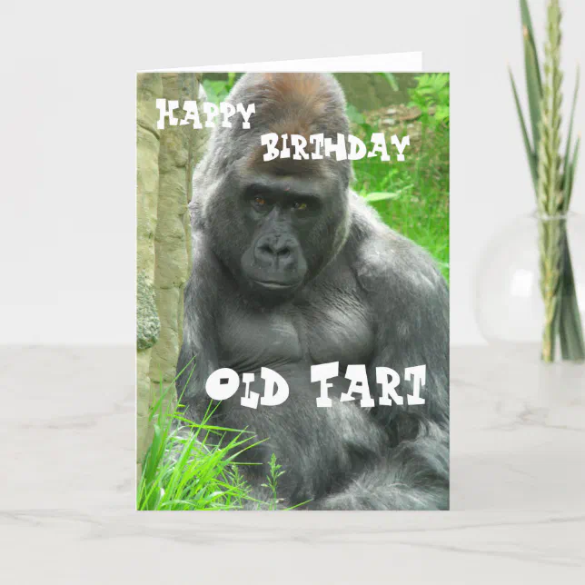 Happy Birthday Old Fart Card | Zazzle