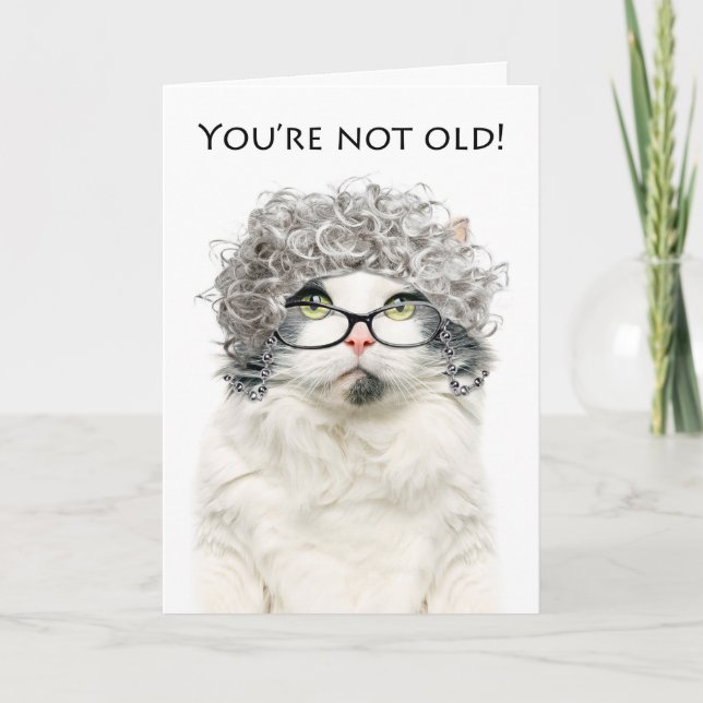 Happy Birthday Older Female Cat in Gray Wig Holiday Card (Front)