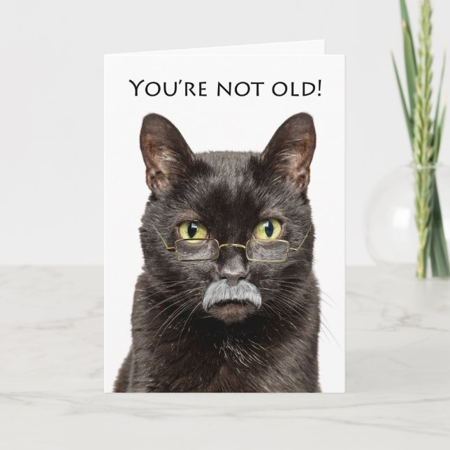 Happy Birthday Older Male Cat in Gray Mustache  Holiday Card (Front)