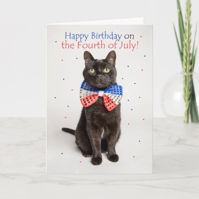 Happy Birthday on Fourth of July Cute Cat Humor Holiday Card (Front)
