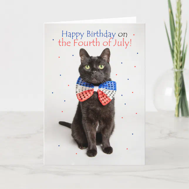 Happy Birthday on Fourth of July Cute Cat Humor Holiday Card | Zazzle