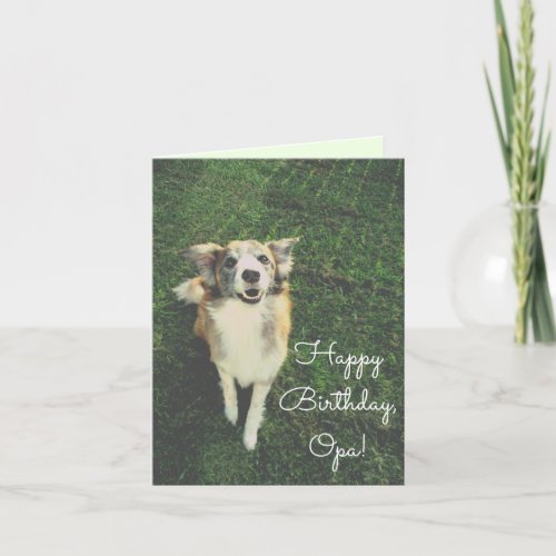 Happy Birthday Opa Have a Ball Cute Dog Card