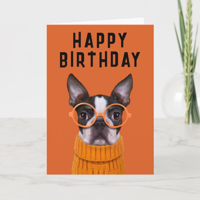 Happy Birthday | Orange Boston Terrier Card (Front)