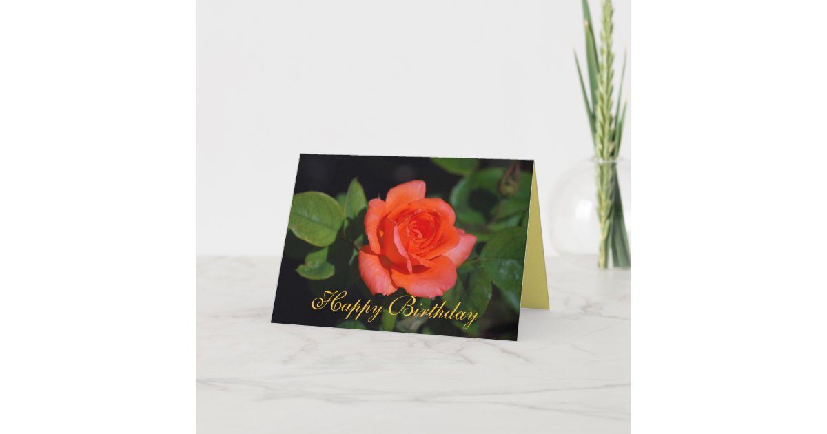 Happy Birthday Orange Grandiflora Rose Card Zazzle Com Bouquet of colorful assorted roses on white background. zazzle