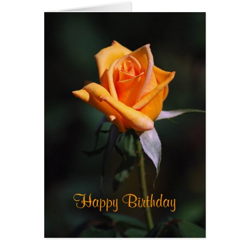 Happy Birthday Orange Rose Card | Zazzle