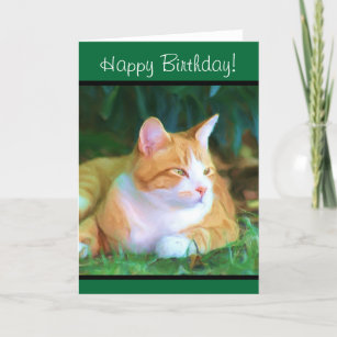 happy birthday orange cat images