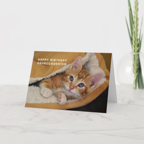 Happy Birthday Orange Tabby Kitten in Bed Card