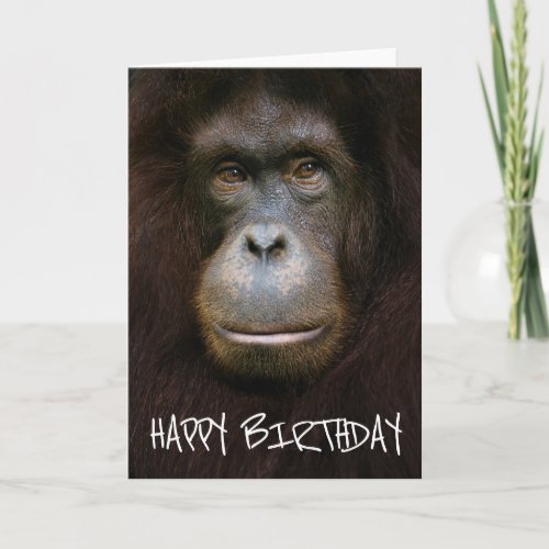 Happy Birthday  Orangutan Face Card