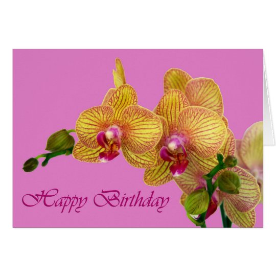 Happy Birthday - Orchid Card