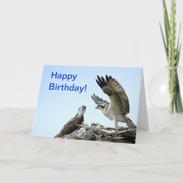 Happy Birthday osprey flapping wings Card (Front)