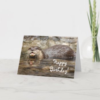 Happy Birthday Otter Greeting Card by pdphoto at Zazzle