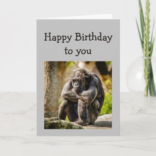 Happy Birthday Over the Hill Funny Sad Gorilla Card